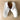 Salus white comfort clogs - made in Hungary - size 41 - NextStage Vintage