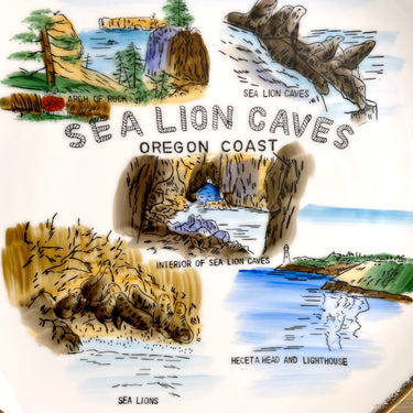 Sea Lion Caves Plate - 1950s vintage hand painted Oregon souvenir - NextStage Vintage