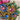 Oversized multicolor R. Serbin shield & crown brooch - vintage costume jewelry - NextStage Vintage