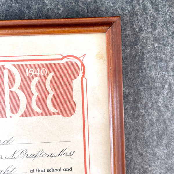 1940s Spelling Bee Grade Champion framed certificate - NextStage Vintage