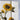 Vintage Glorious Sunflower Linen Tea Towel - NextStage Vintage