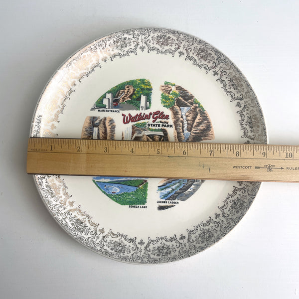 Watkins Glen State Park souvenir plate - vintage 1960s NY souvenir - NextStage Vintage