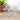 Stemmed cordial glasses - set of 8 - 1980s vintage - NextStage Vintage