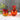 Amberina crackle glass mini pitchers - a pair - 1960s vintage - NextStage Vintage