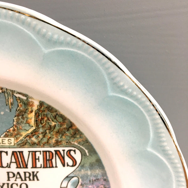 Carlsbad Caverns souvenir plate - vintage New Mexico road trip souvenir - NextStage Vintage