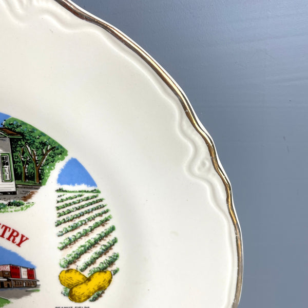 Carter Country - Plains, Georgia - political souvenir plate - 1970s vintage - NextStage Vintage