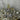 Coro diamante and silver crown pin - 1950s vintage - NextStage Vintage