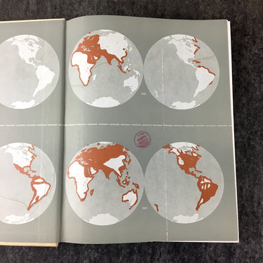 The Discovery of the World - Albert Bettex - 1960 hardcover - NextStage Vintage