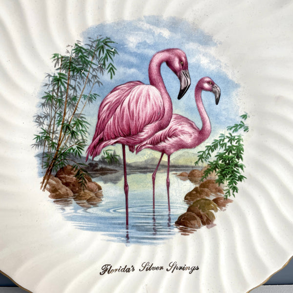 Florida's Silver Springs souvenir plate - vintage flamingo plate - NextStage Vintage