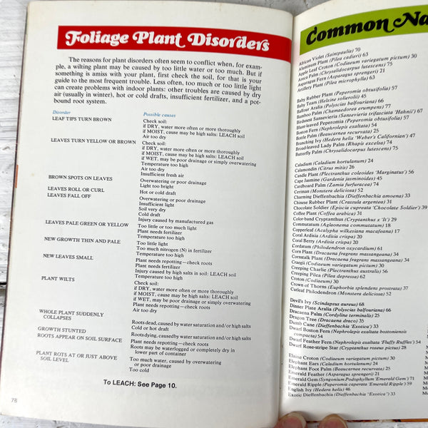 Foliage Plants for Modern Living - 1970s plant guide - booklet - NextStage Vintage