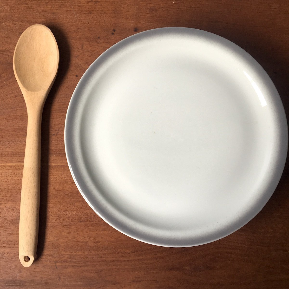 Shenango restaurant ware dinner plates - set of 4 - gray rim