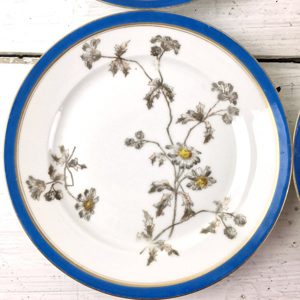 Daisy plates by CFH/GDM Haviland Limoges France - 4 1880s antique side plates - NextStage Vintage