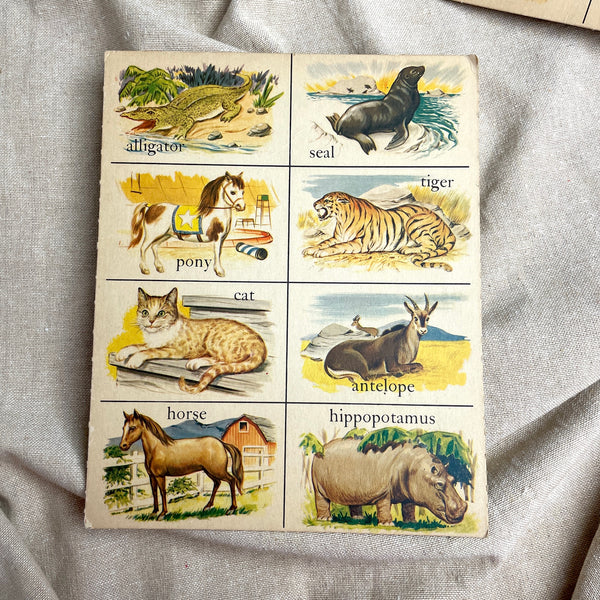 Milton Bradley Animal Lotto cards - vintage animal illustrations - NextStage Vintage