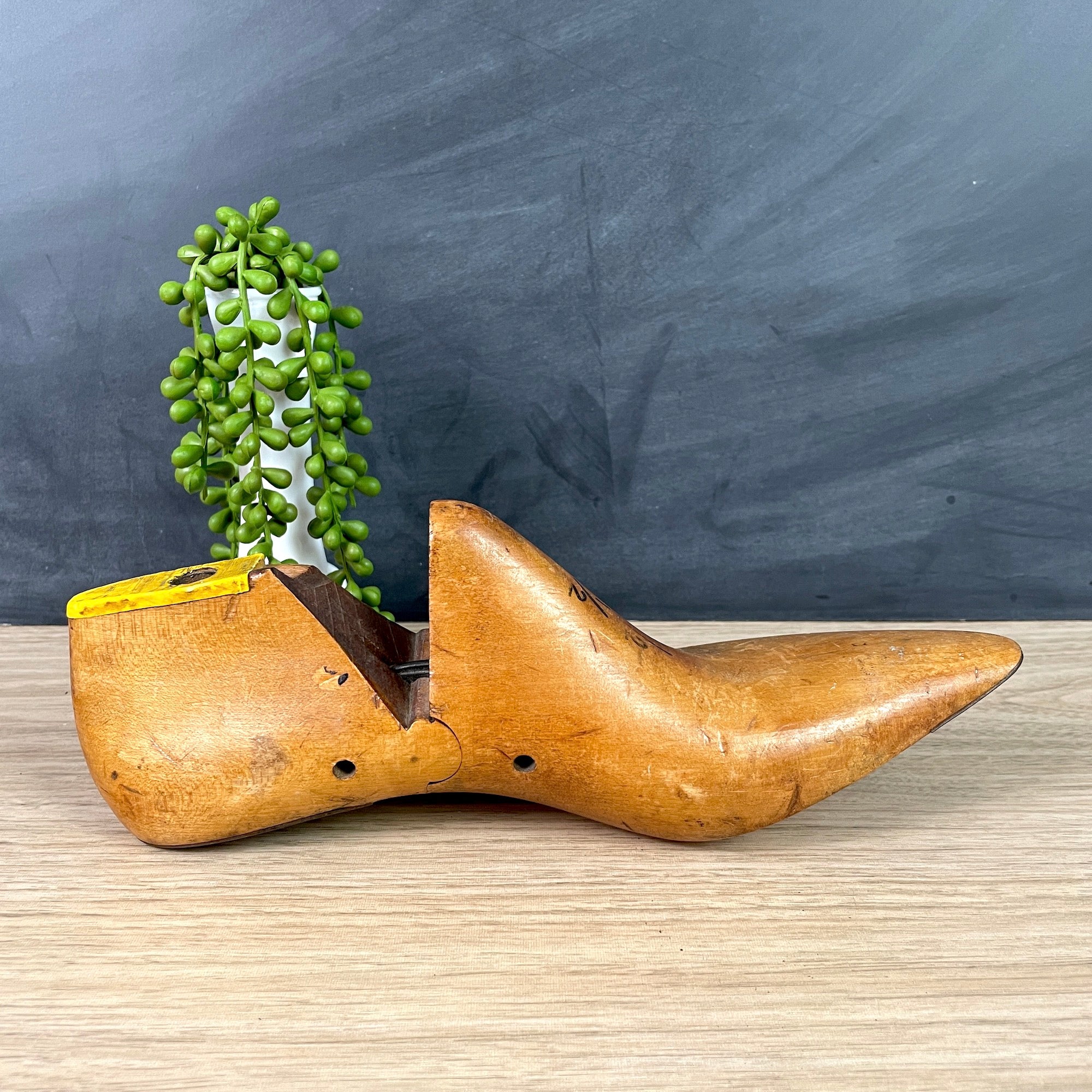 靴 last nest mule LAST NEST LEATHER MULE / BLACK | Luce | ルーチェ