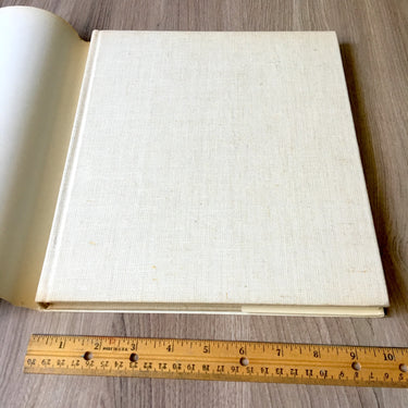 Observations on American Architecture by Ivan Chermayeff - 1972 first edition - NextStage Vintage