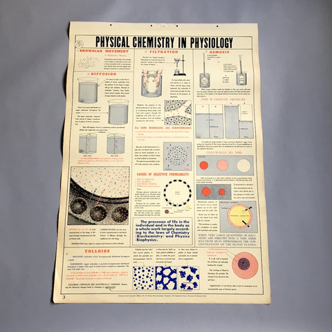 Physical Chemistry in Physiology school health wall chart - W. M. Welch Manufacturing Company - 1946 vintage - NextStage Vintage