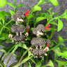 Black and gold poodle scatter pins - a pair - 1950s vintage - NextStage Vintage