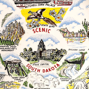Scenic South Dakota souvenir state plate - 1960s vintage - NextStage Vintage