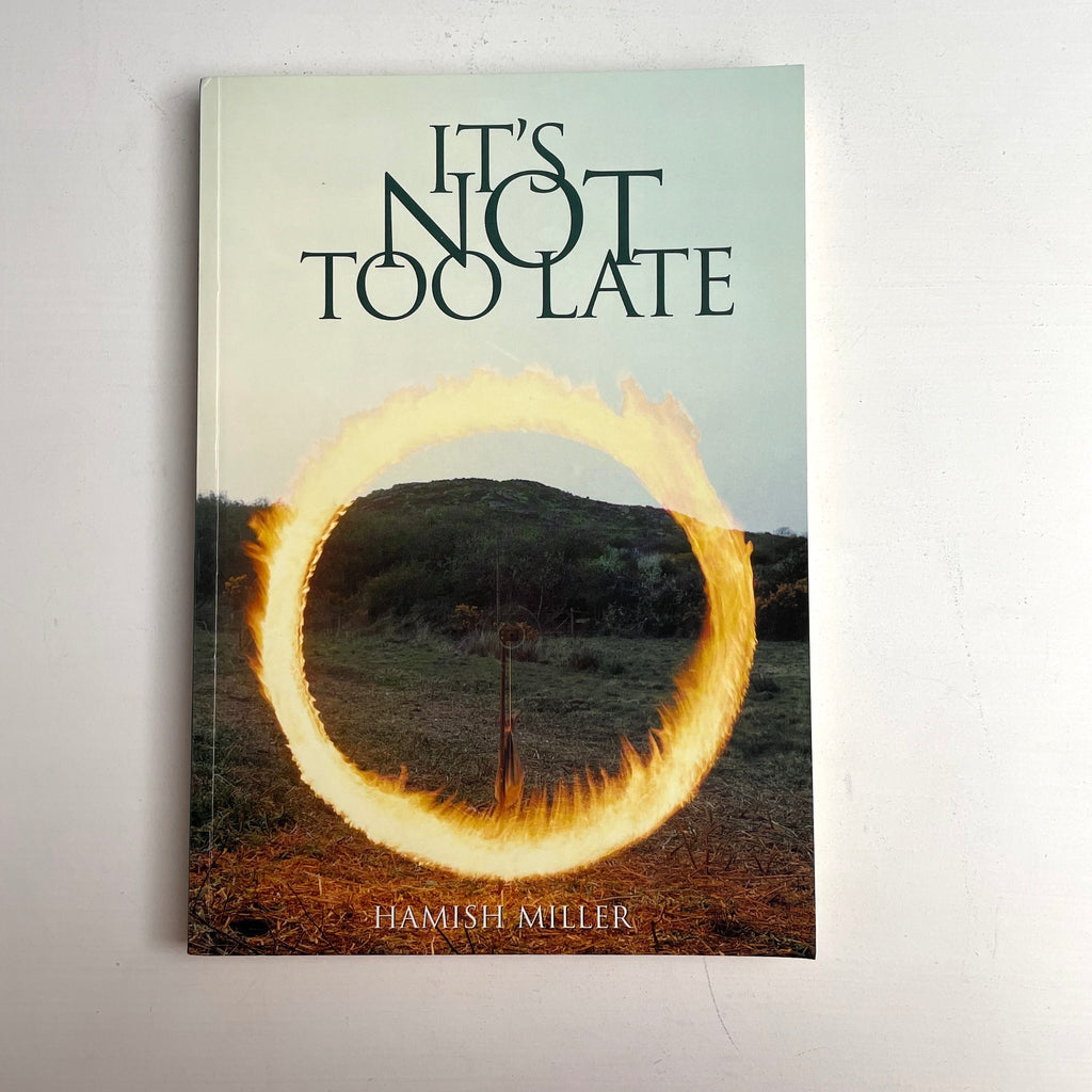 It's Not Too Late - Hamish Miller - numbered first edition paperback - NextStage Vintage