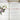 Wild Flowers of The United States - Vol 2. The Southeastern States - Harold William Rickett - first edition - NextStage Vintage